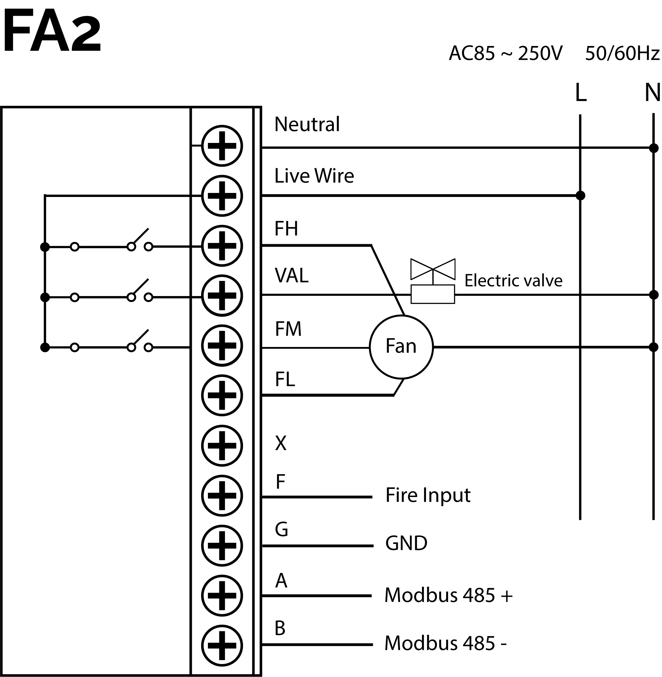FA2.png