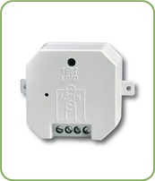 DSE500-bordo verde